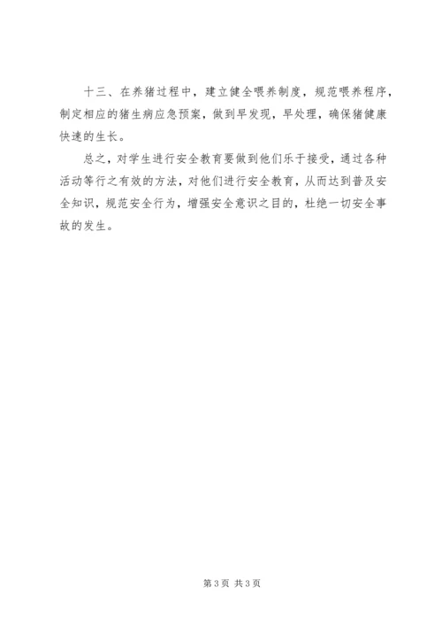 学习借鉴成功经验心得.docx