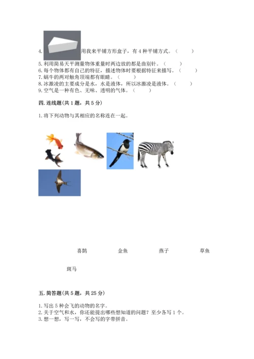 教科版一年级下册科学期末测试卷含答案【培优b卷】.docx