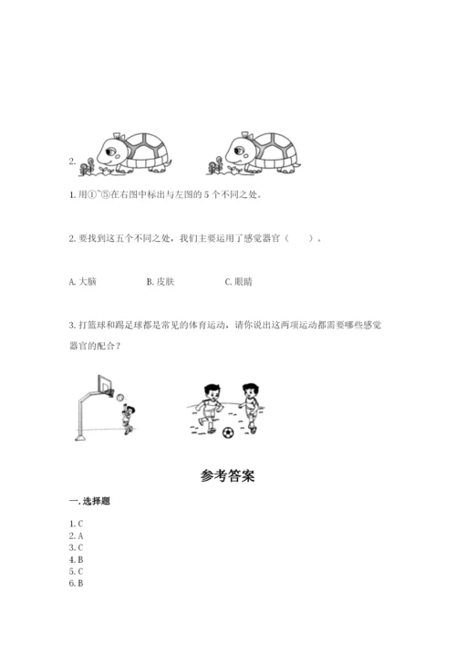 教科版二年级下册科学期末测试卷精品【黄金题型】.docx