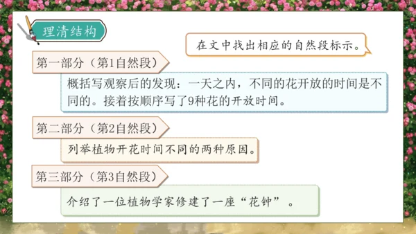 【核心素养】部编版语文三年级下册-13. 花钟 第1课时（课件）