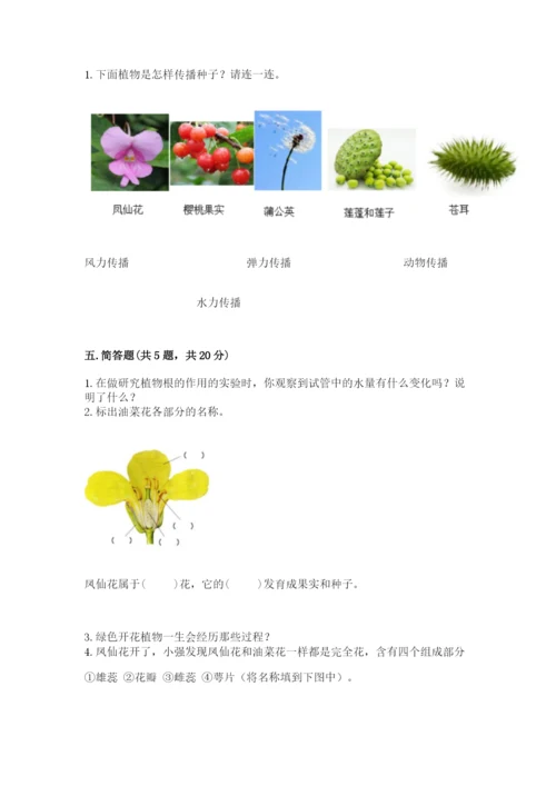 教科版科学四年级下册第一单元《植物的生长变化》测试卷精品（典型题）.docx