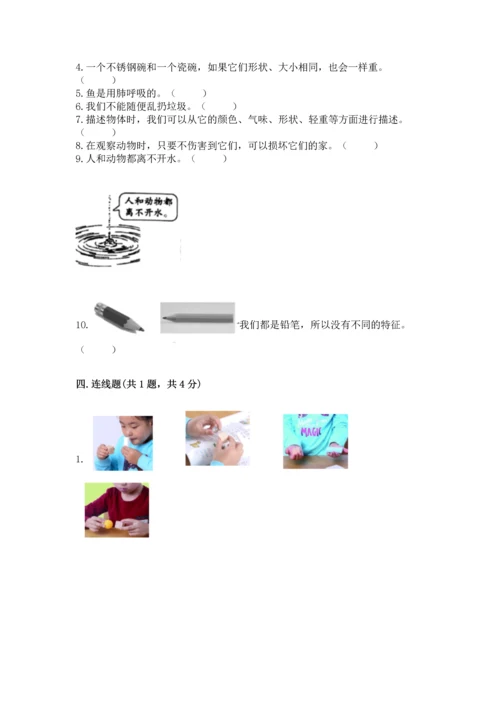 教科版一年级下册科学期末测试卷精品（考点梳理）.docx