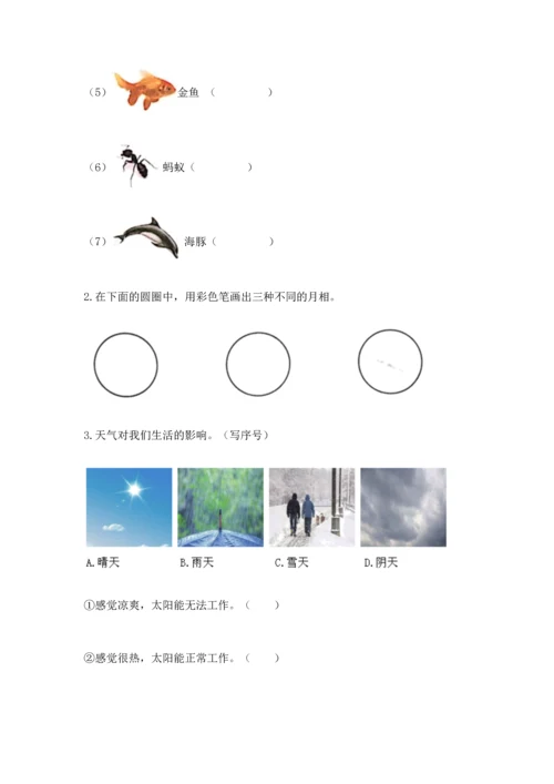 教科版二年级上册科学期末测试卷精品（考点梳理）.docx