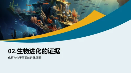 探索生物演化历程