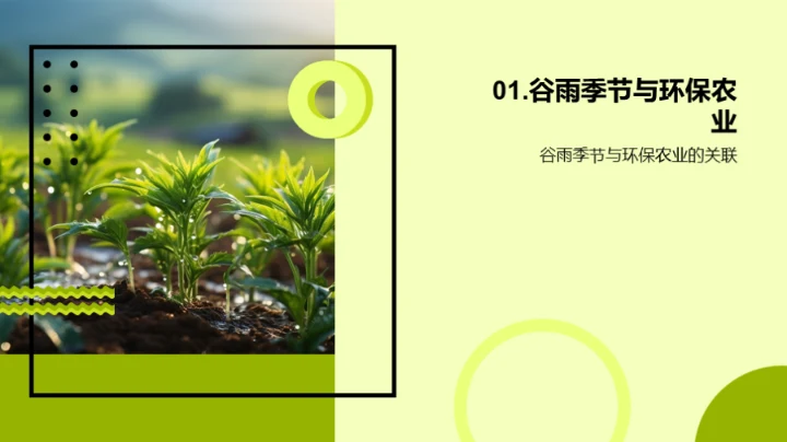 实践谷雨环保农业