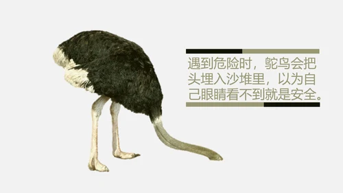 鸵鸟心态哲理故事通用PPT模板