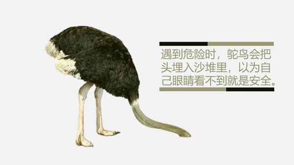 鸵鸟心态哲理故事通用PPT模板
