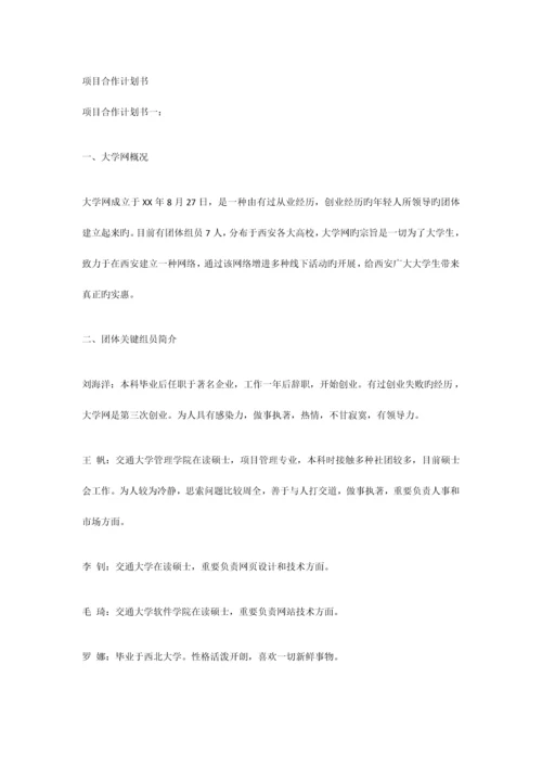 项目合作计划书.docx