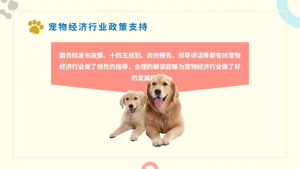 简约实图狗宠物经济行业前景分析报告汇报模板