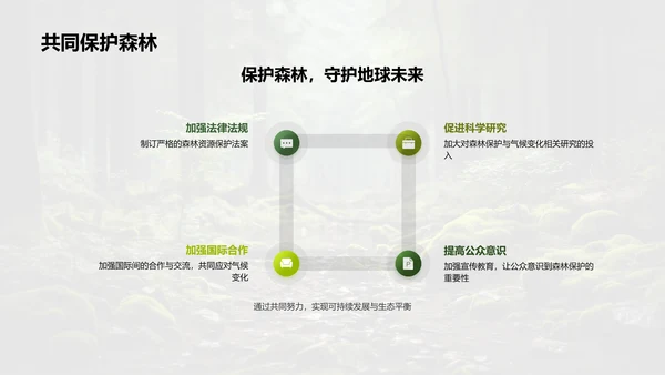 森林与气候变化