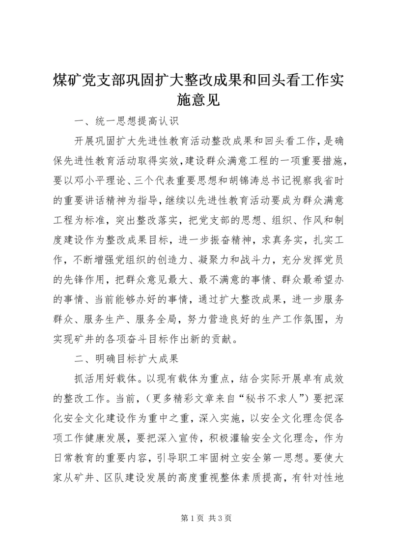 煤矿党支部巩固扩大整改成果和回头看工作实施意见 (4).docx