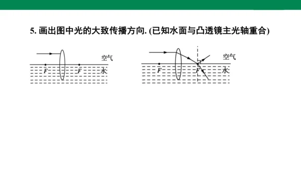 人教版八年级上册物理全章复习训练：5.6 章末综合（19页ppt）