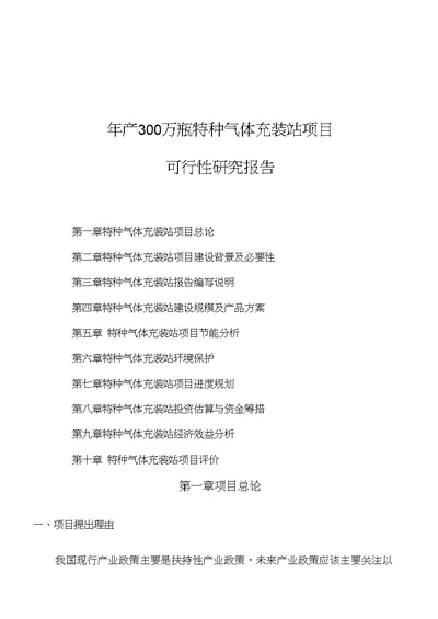 年产300万瓶特种气体充装站项目可行性研究报告