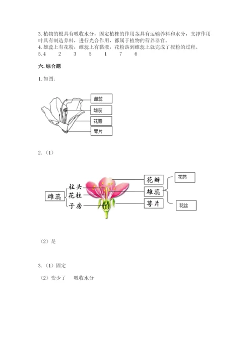 教科版四年级下册科学第一单元《植物的生长变化》测试卷及答案【夺冠】.docx