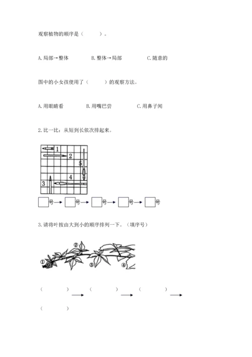 教科版一年级上册科学期末测试卷带答案（精练）.docx