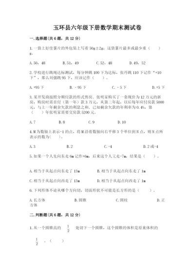 玉环县六年级下册数学期末测试卷a4版.docx