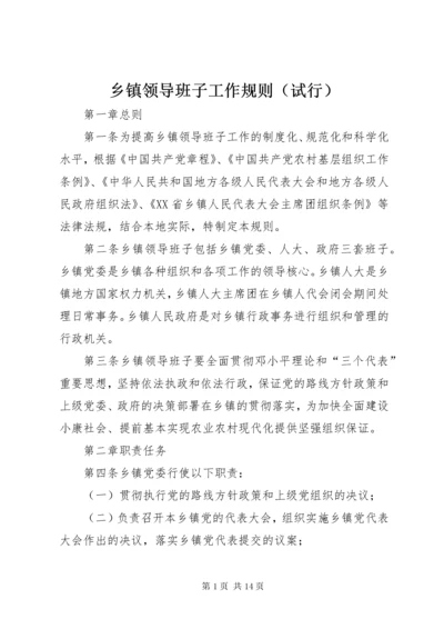 乡镇领导班子工作规则（试行）.docx