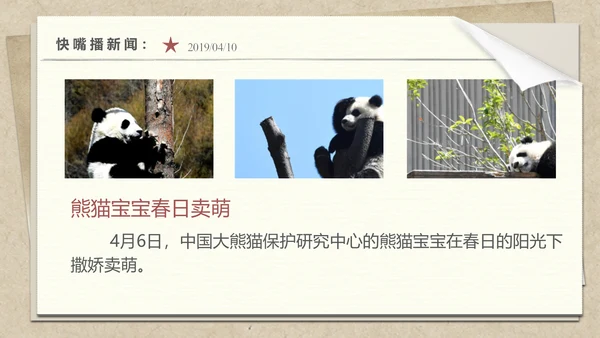 小学语文园地教学了解新闻发布会PPT课件