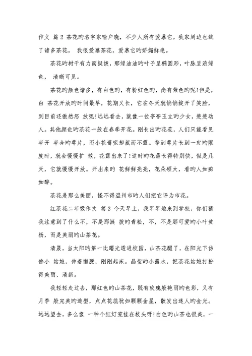 2022年红茶花二年级作文茶花的作文