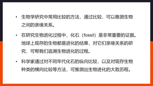 生命起源和生物进化企鹅通用PPT模板