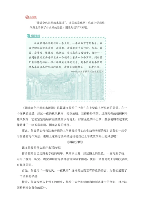 【跟着课文学写作】5.铺满金色巴掌的水泥道 讲义