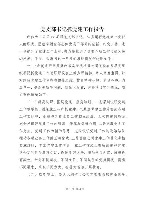 党支部书记抓党建工作报告.docx