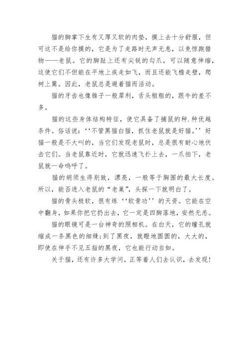 介绍一种事物猫五年级作文5篇.docx