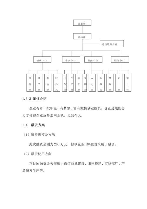 服装搭配平台综合项目商业专题计划书.docx