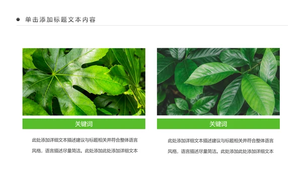 绿色清新植物生长敬畏生命成长励志PPT模板