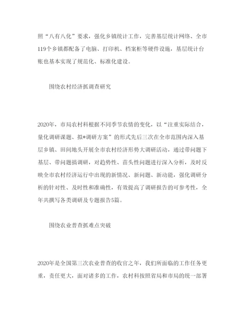 精编年市农村统计工作报告范文.docx