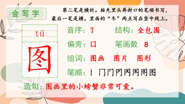 13、画杨桃（第一课时）  课件