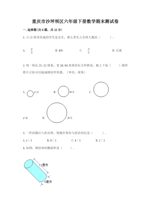 重庆市沙坪坝区六年级下册数学期末测试卷标准卷.docx