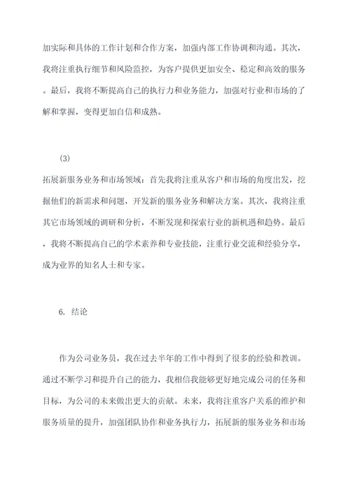 公司业务员半年总结