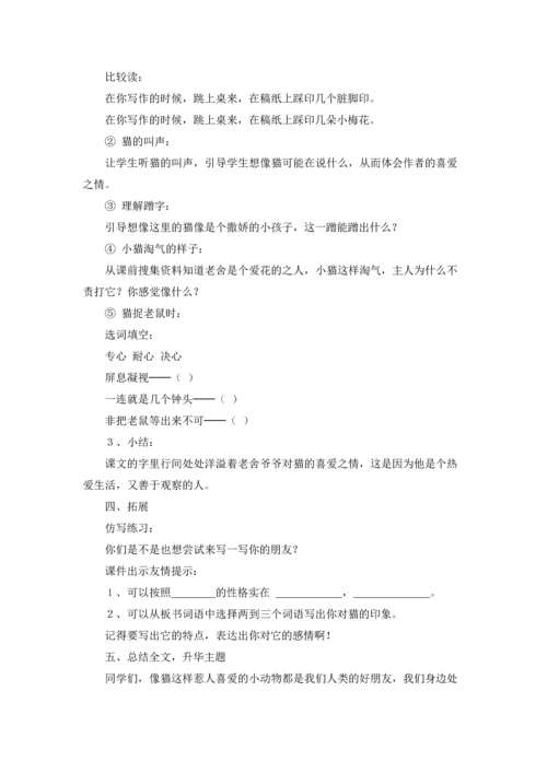 有关猫教案范文合集4篇.docx