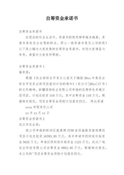 自筹资金承诺书.docx