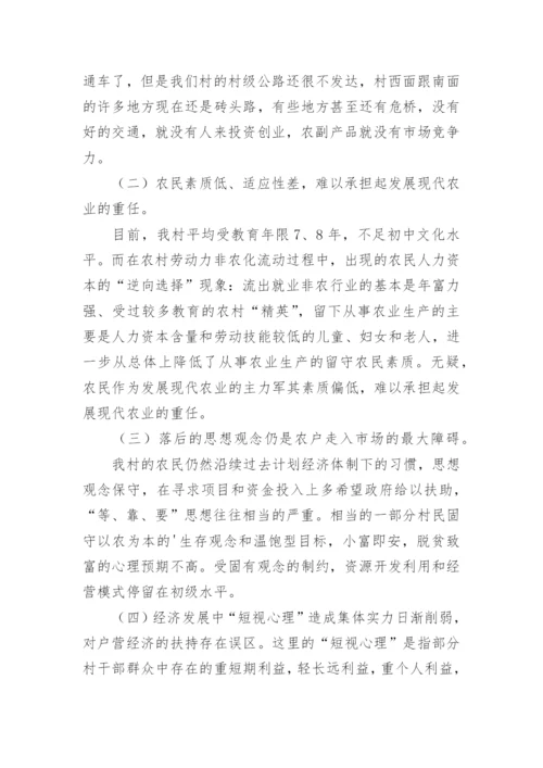 村级乡村振兴调研报告.docx