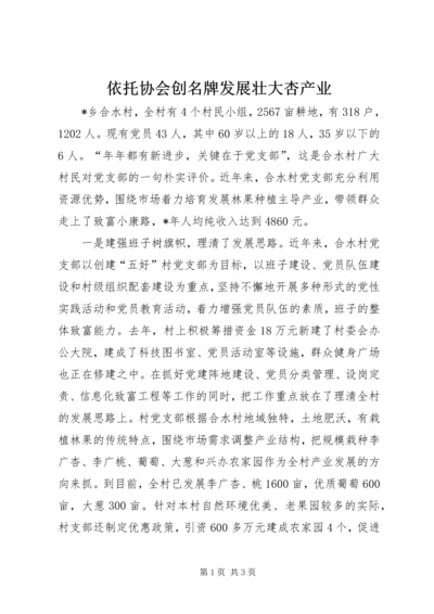 依托协会创名牌发展壮大杏产业.docx