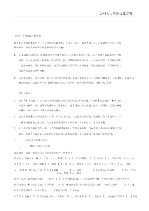 公司人力资源优化方案