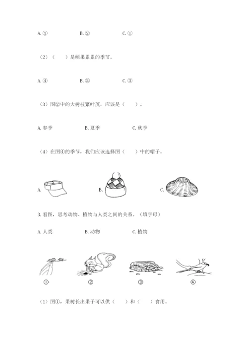 教科版二年级上册科学期末测试卷精品含答案.docx