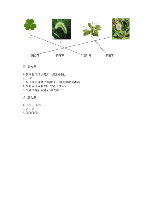 教科版一年级上册科学期末测试卷加下载答案.docx