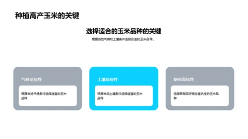 走进科学种植，提升玉米产量