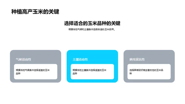 走进科学种植，提升玉米产量