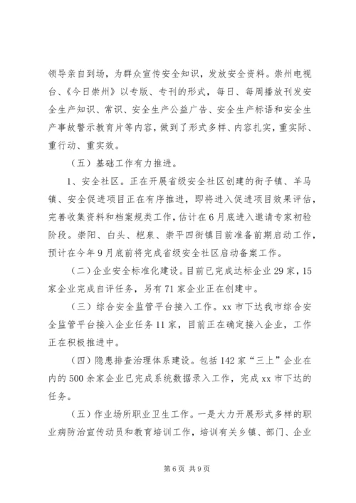 人民政府安全生产委员会办公室工作总结.docx