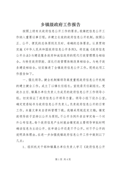 乡镇级政府工作报告.docx