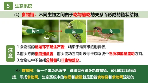 七上第一单元 生物和生物圈复习课件(共26张PPT)
