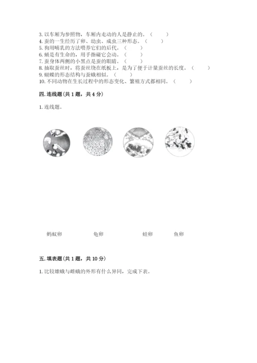 教科版三年级下册科学期末测试卷精品【全优】.docx