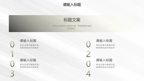 白金奢华简约商务运营方案PPT模板
