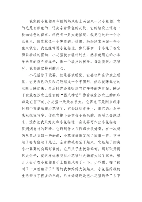 介绍一种事物猫五年级作文5篇.docx