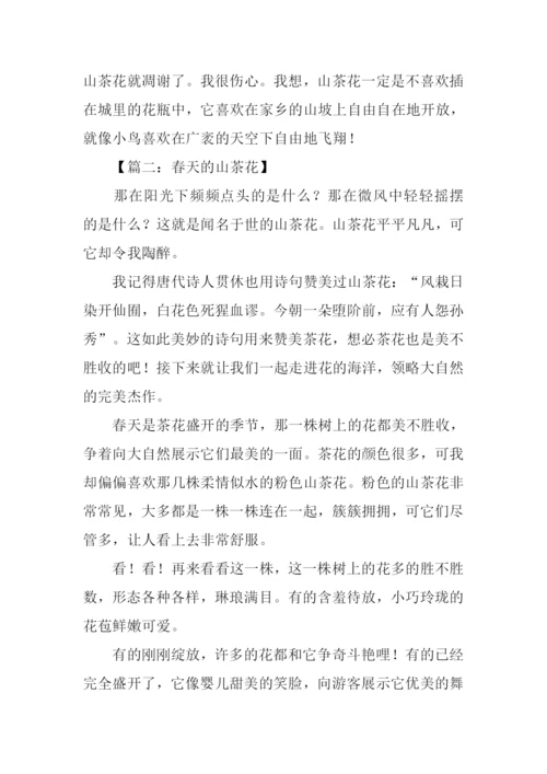 春天的山茶花作文600字.docx