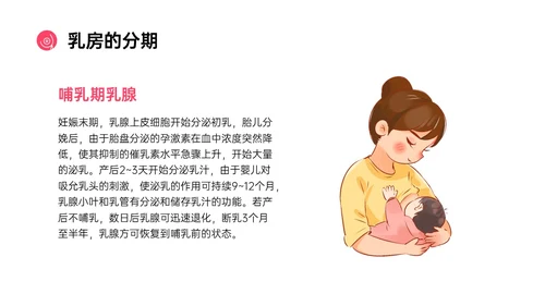 粉红色简约风乳房护理相关知识培训PPT课件乳腺